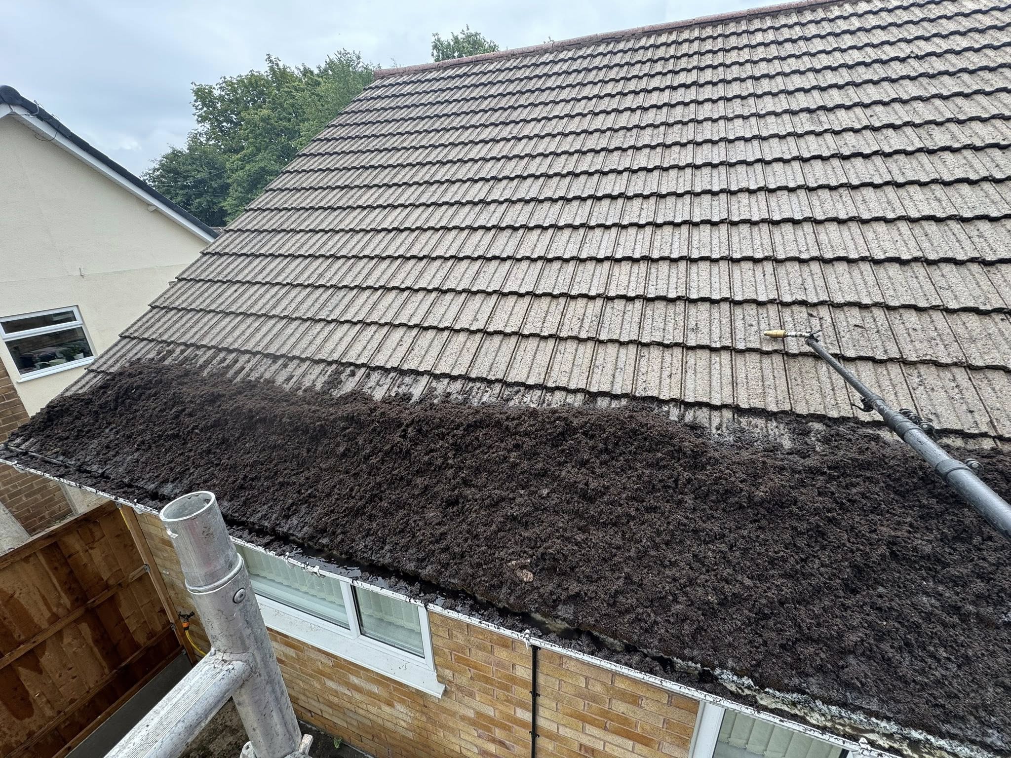Roof Cleans